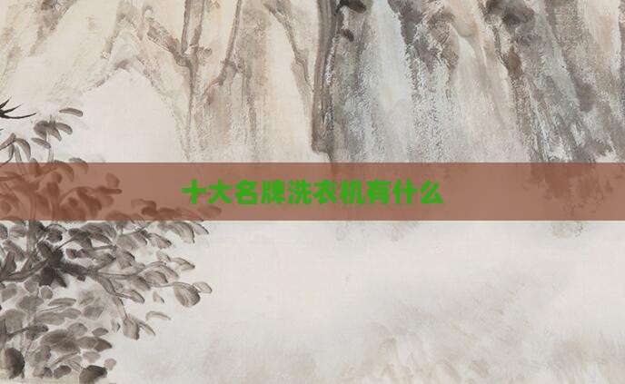 十大名牌洗衣机有什么