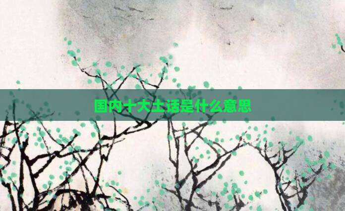 国内十大土话是什么意思