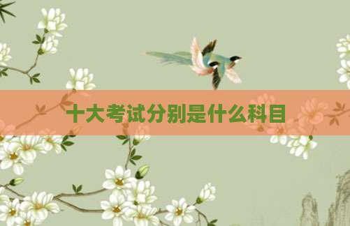 十大考试分别是什么科目