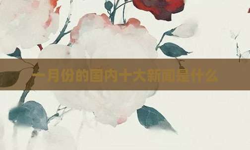 一月份的国内十大新闻是什么
