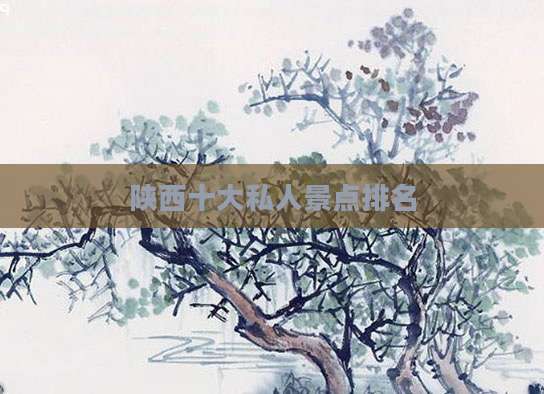 陕西十大私人景点排名