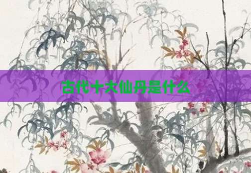 古代十大仙丹是什么