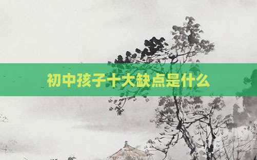 初中孩子十大缺点是什么