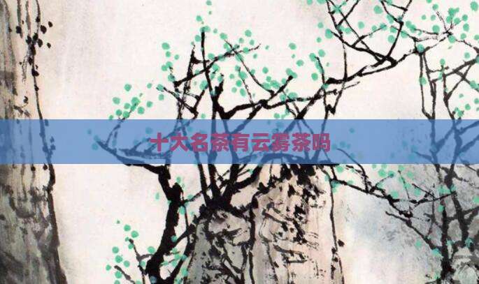 十大名茶有云雾茶吗
