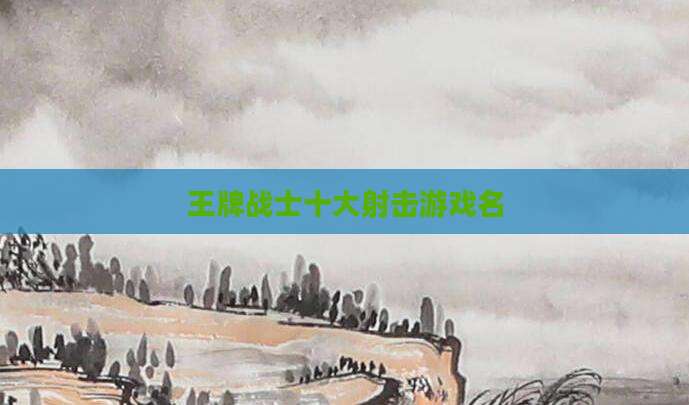 王牌战士十大射击游戏名