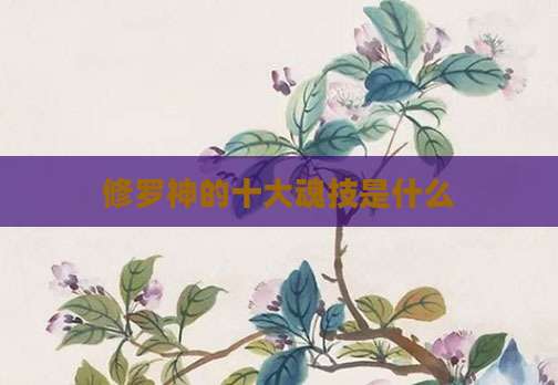 修罗神的十大魂技是什么