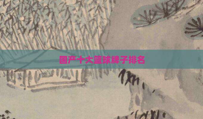 国产十大篮球牌子排名