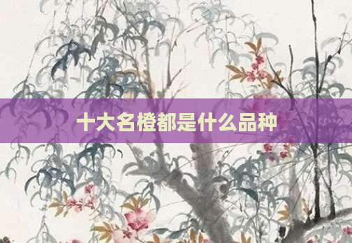 十大名橙都是什么品种