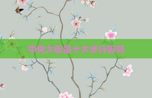中央大街是十大步行街吗