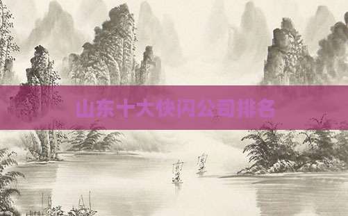 山东十大快闪公司排名