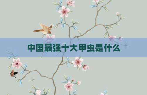 中国最强十大甲虫是什么