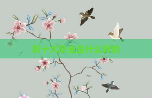 前十大职业是什么样的