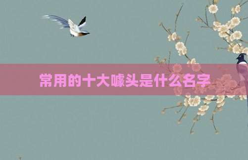 常用的十大噱头是什么名字