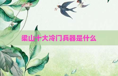梁山十大冷门兵器是什么