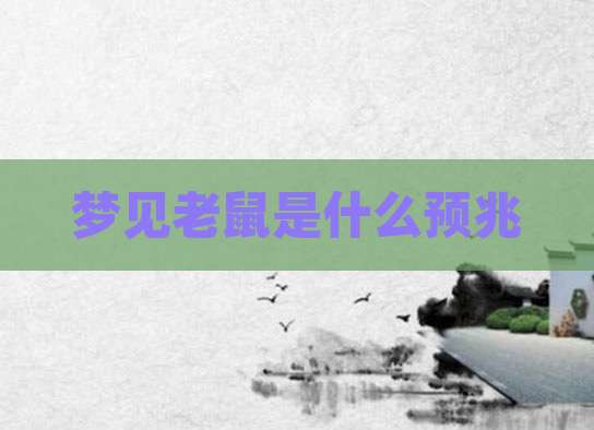 梦见老鼠是什么预兆