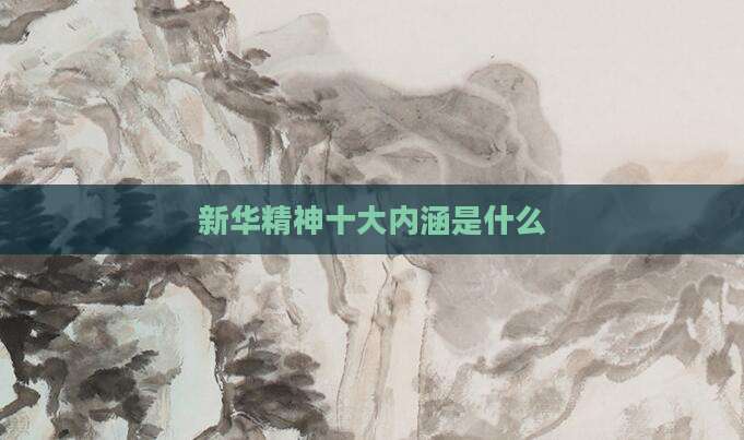 新华精神十大内涵是什么