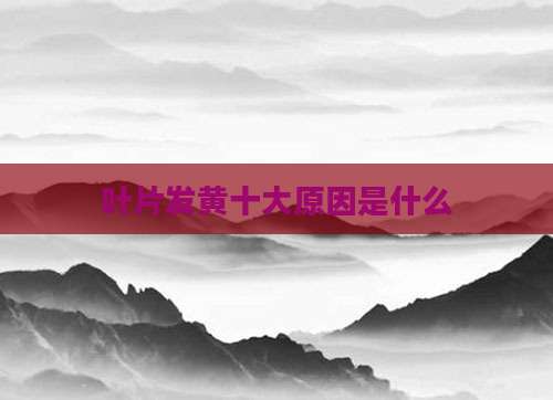 叶片发黄十大原因是什么