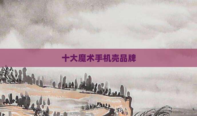 十大魔术手机壳品牌