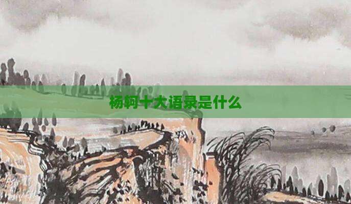 杨轲十大语录是什么