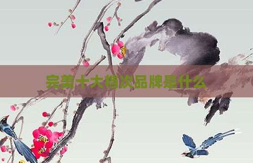 完美十大档次品牌是什么