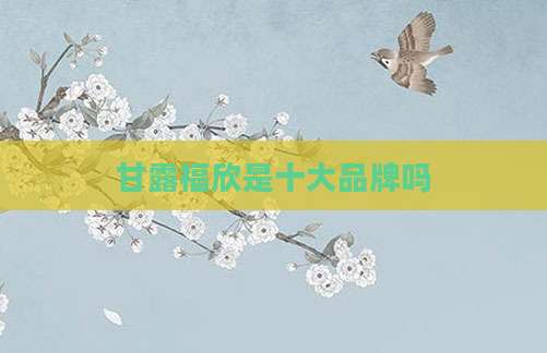 甘露福欣是十大品牌吗