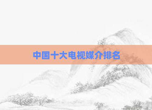 中国十大电视媒介排名