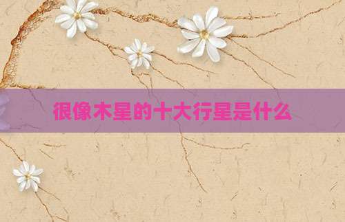 很像木星的十大行星是什么