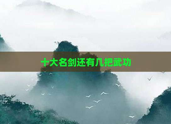 十大名剑还有几把武功