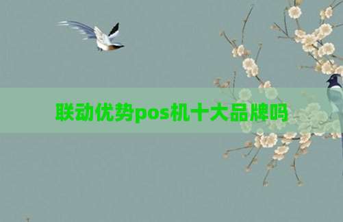 联动优势pos机十大品牌吗