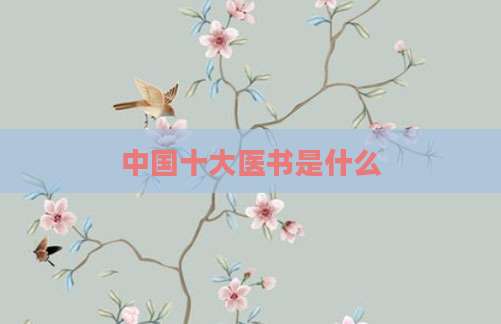 中国十大医书是什么