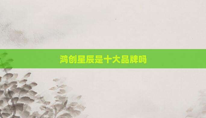 鸿创星辰是十大品牌吗
