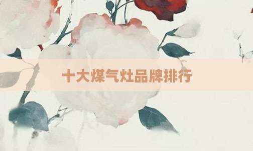 十大煤气灶品牌排行
