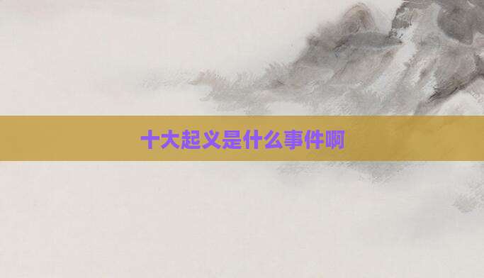 十大起义是什么事件啊
