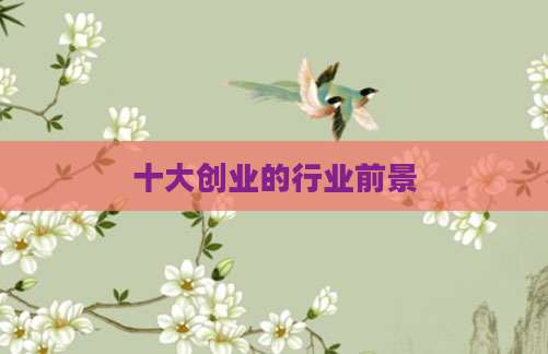 十大创业的行业前景