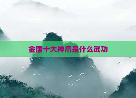金庸十大神爪是什么武功