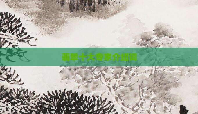 翡翠十大专家介绍词
