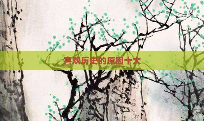 喜欢历史的原因十大