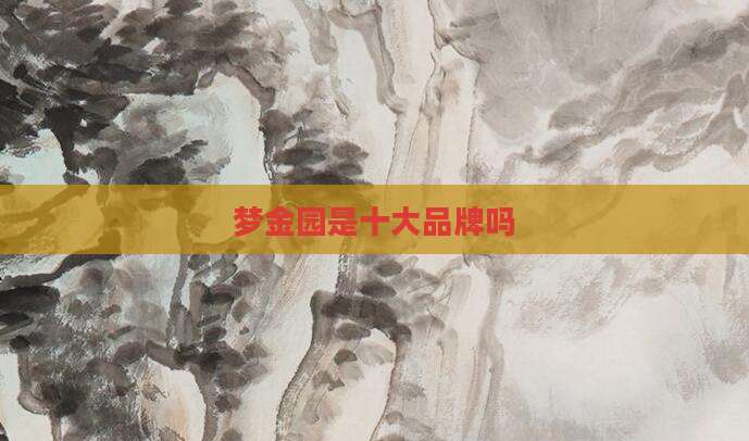 梦金园是十大品牌吗