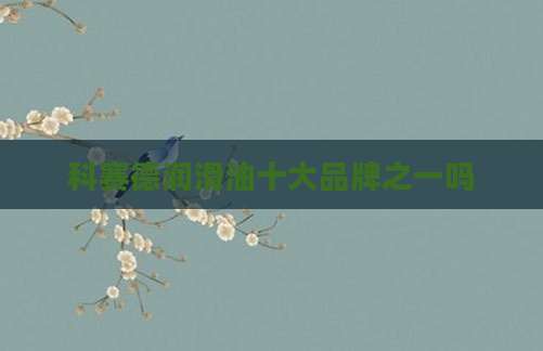 科赛德润滑油十大品牌之一吗