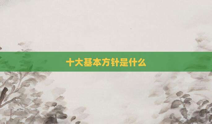 十大基本方针是什么