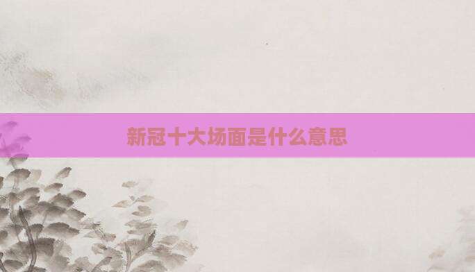 新冠十大场面是什么意思