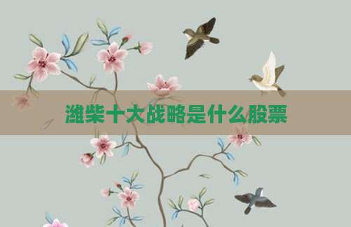 潍柴十大战略是什么股票