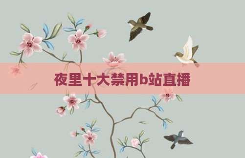 夜里十大禁用b站直播