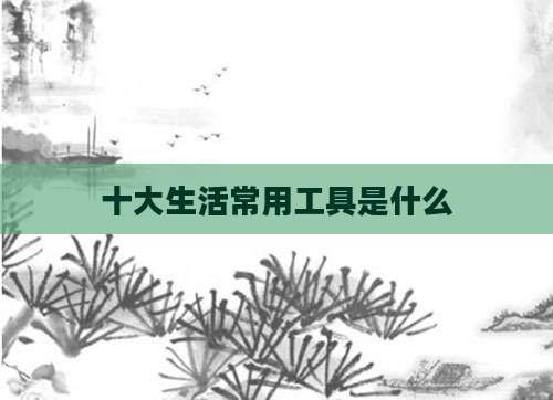 十大生活常用工具是什么