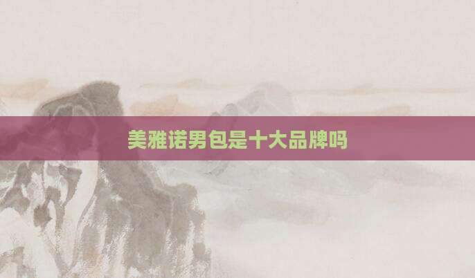 美雅诺男包是十大品牌吗