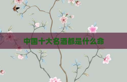 中国十大名酒都是什么命