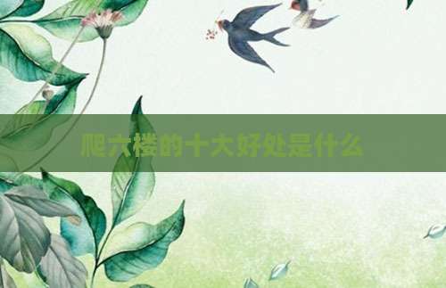 爬六楼的十大好处是什么