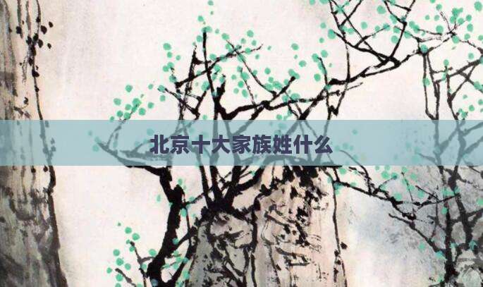 北京十大家族姓什么