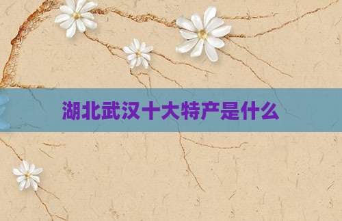 湖北武汉十大特产是什么