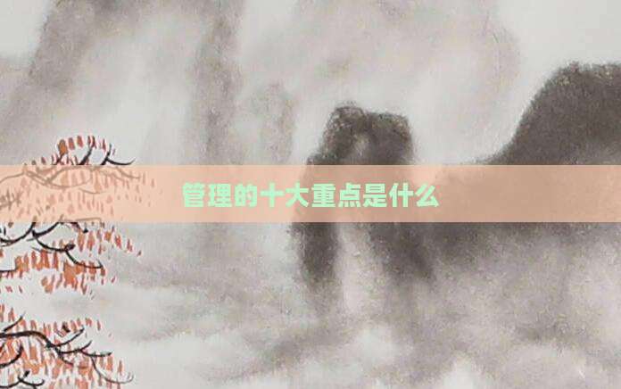 管理的十大重点是什么
